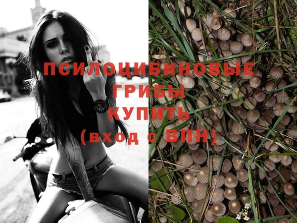 первитин Горно-Алтайск