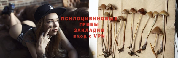 молекула духа Горняк