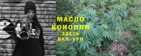 молекула духа Горняк