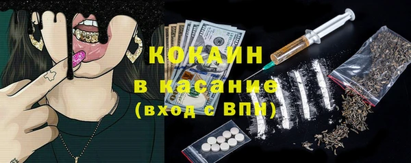 индика Киреевск