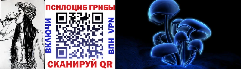 Галлюциногенные грибы Psilocybine cubensis  Звенигово 